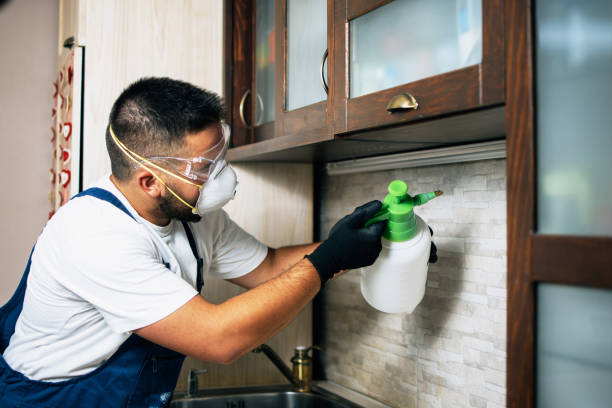 Pest Prevention Services in Matheny, CA