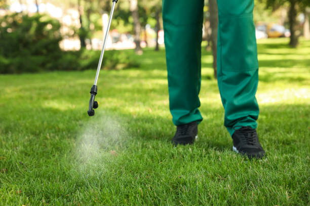 Best Pest Removal Services  in Matheny, CA