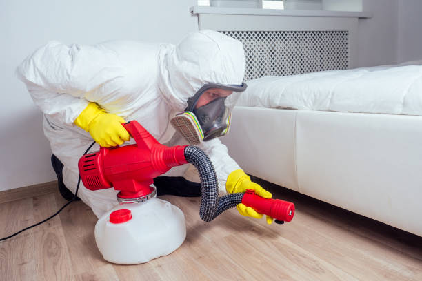 Best Bed Bug Extermination  in Matheny, CA
