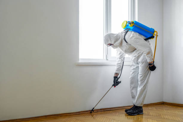 Best Best Pest Control Near Me  in Matheny, CA
