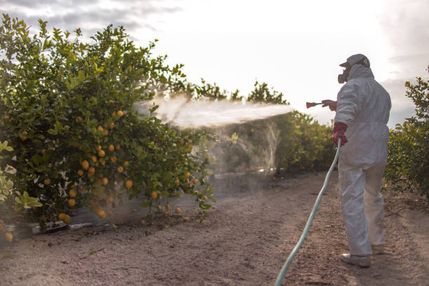 Best Bird Control  in Matheny, CA