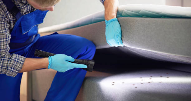 Best Affordable Pest Control Services  in Matheny, CA