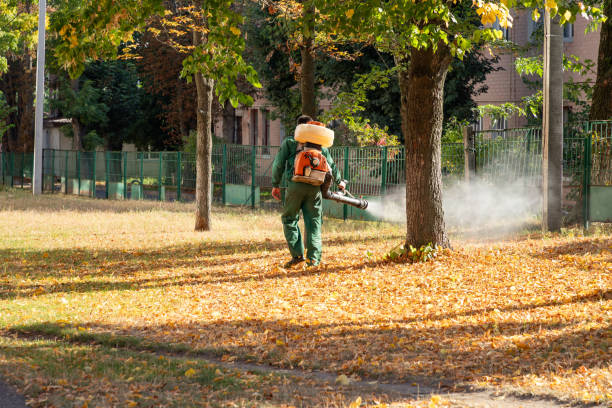 Wildlife Control Services in Matheny, CA