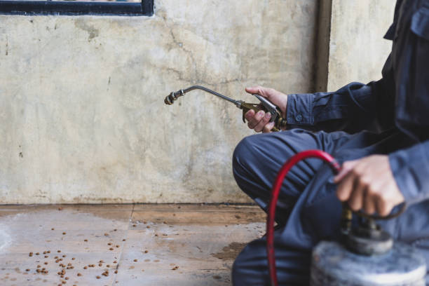 Best Commercial Pest Control Services  in Matheny, CA