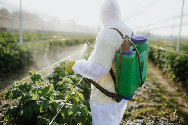 Best Local Pest Control Services  in Matheny, CA